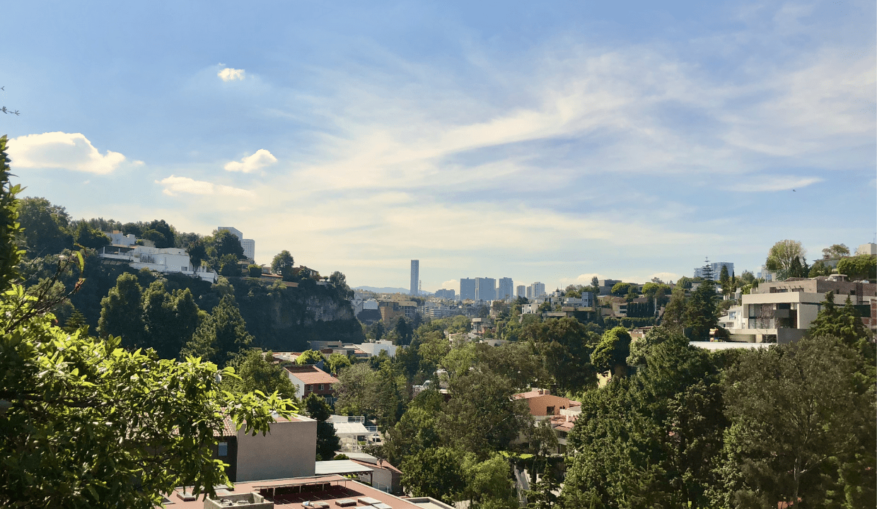 alfa 111 - Blog - Bosques de las lomas